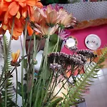 Cozy Botafogo Place Hostel